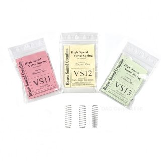 BSC　ハイスピード バルブスプリング