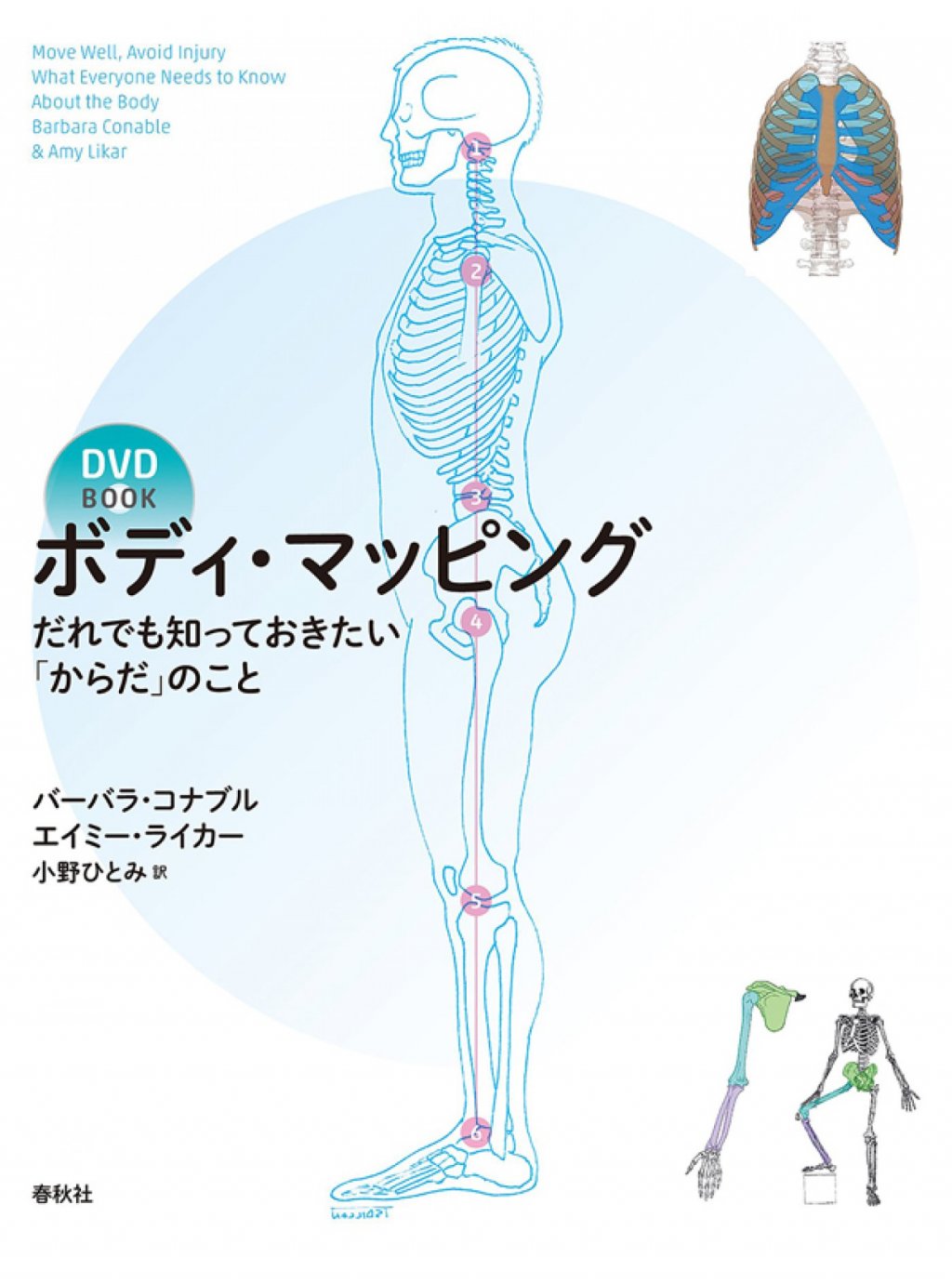 「［DVD BOOK］ボディ・マッピング～だれでも知っておきたい「からだ」のこと」 画像 1
