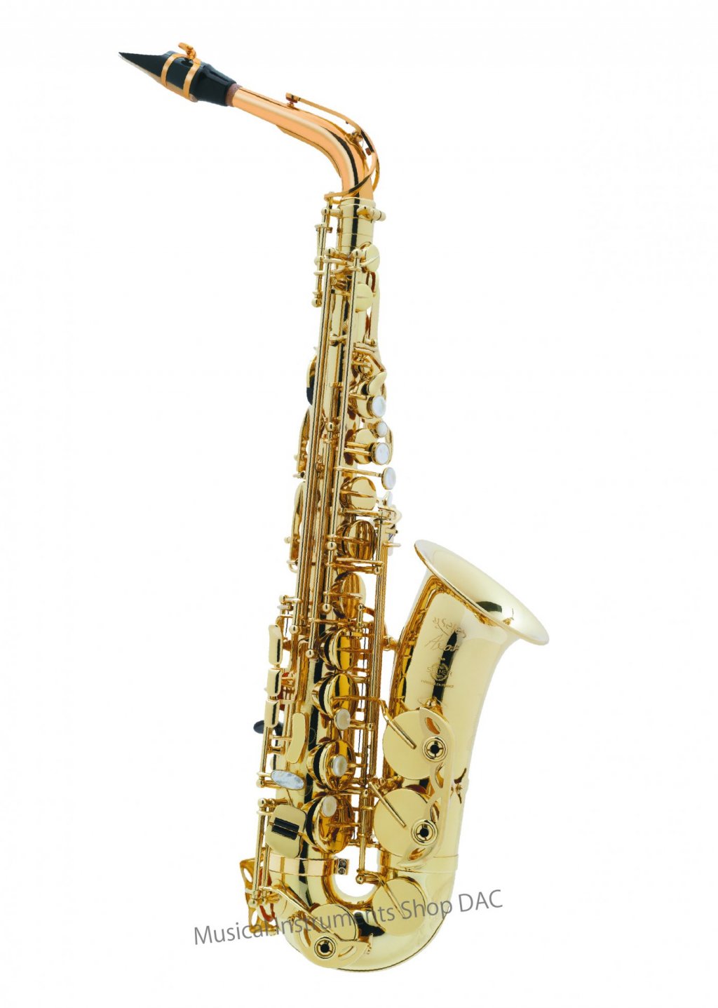 AXOS GP-TONE 画像 1