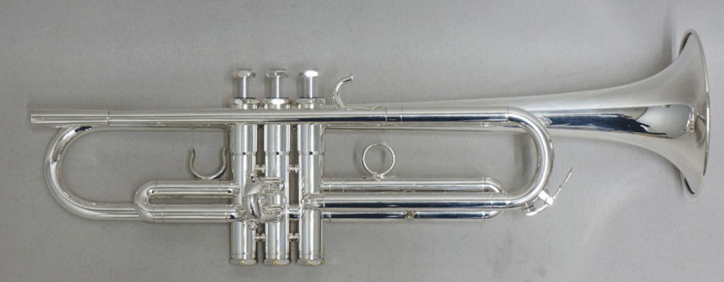 シルキー  B1 SP 画像 1
