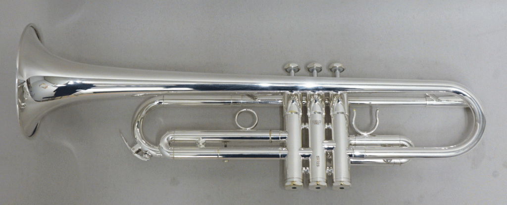 シルキー  B1 SP 画像 2