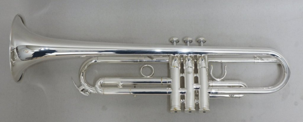 シルキー  B1 SP 画像 2