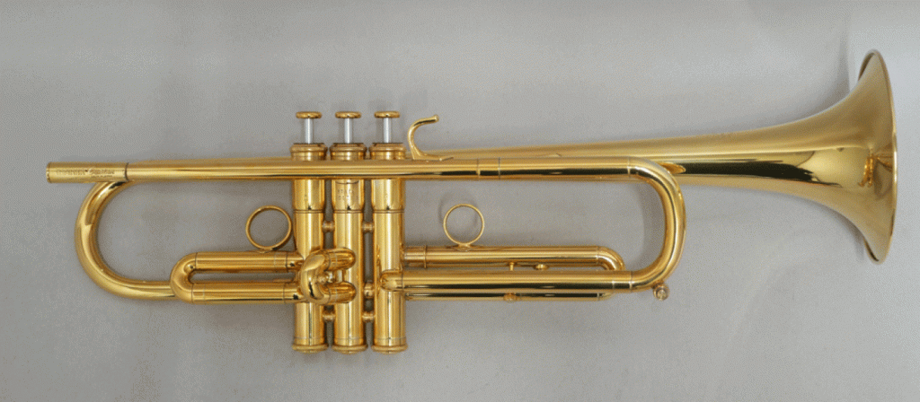 ヤマハ  YTR-83 GP 画像 1