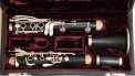 B.クランポン(France)　Prestige
