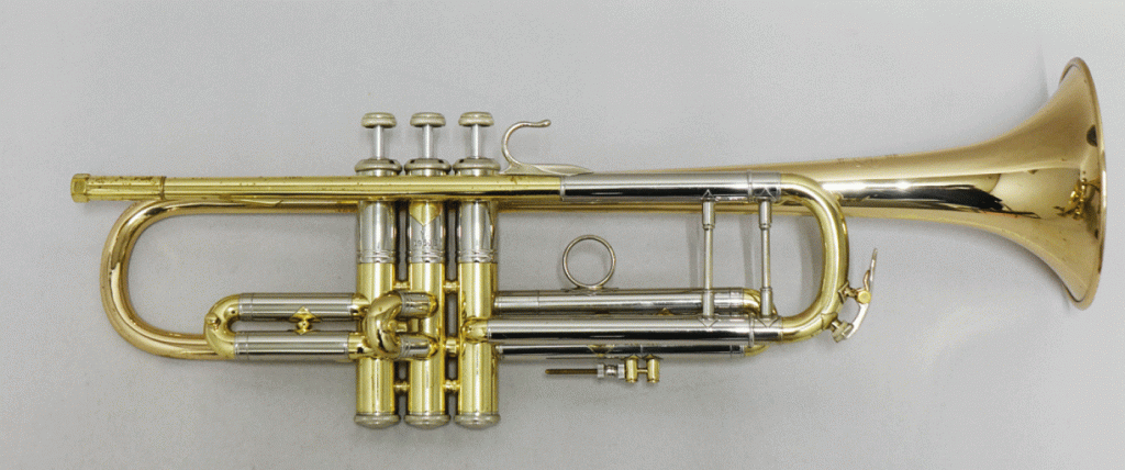 N.Y.Bach  MTバーノン 画像 1