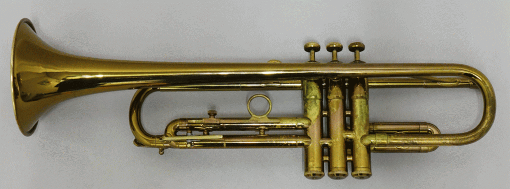 Martin   コミッティ 画像 2