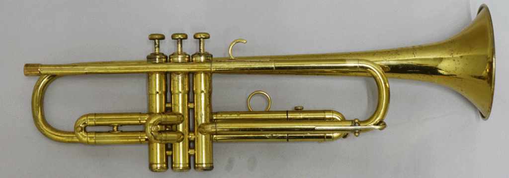 Martin   コミッティ 画像 1