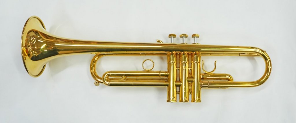 シルキー(USA)  B5 GP 画像 2