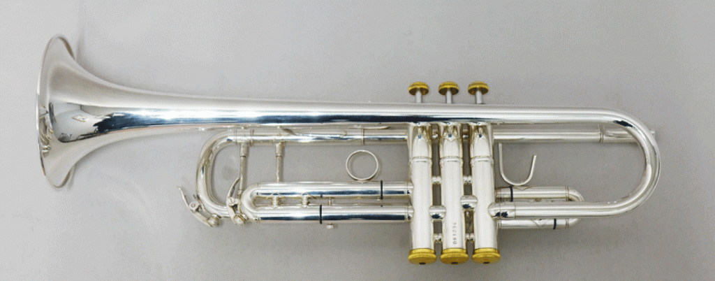 B&S　TP37Ⅱ GBS 画像 2