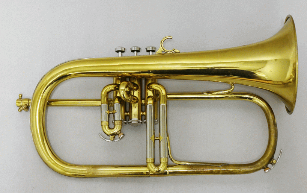 ケノン　OLD 画像 1