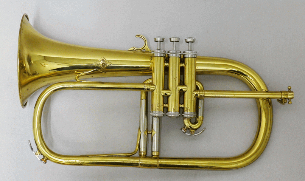 ケノン　OLD 画像 2