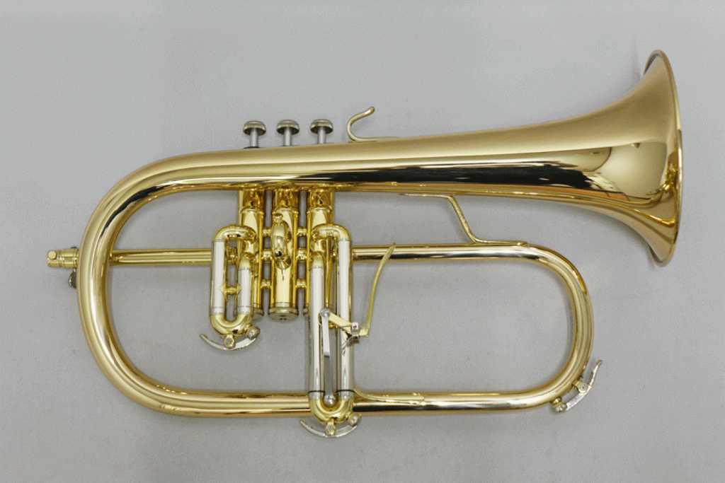 B&S　FH45GB 画像 1