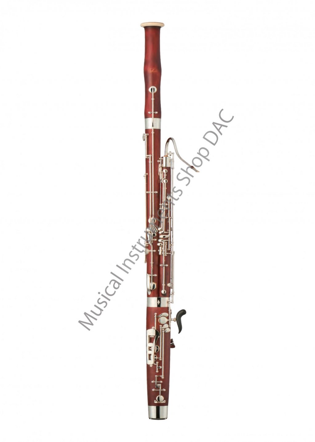 WS5016 SP 画像 1