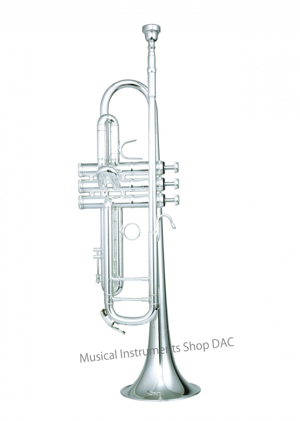 TP80 GBS 画像 1