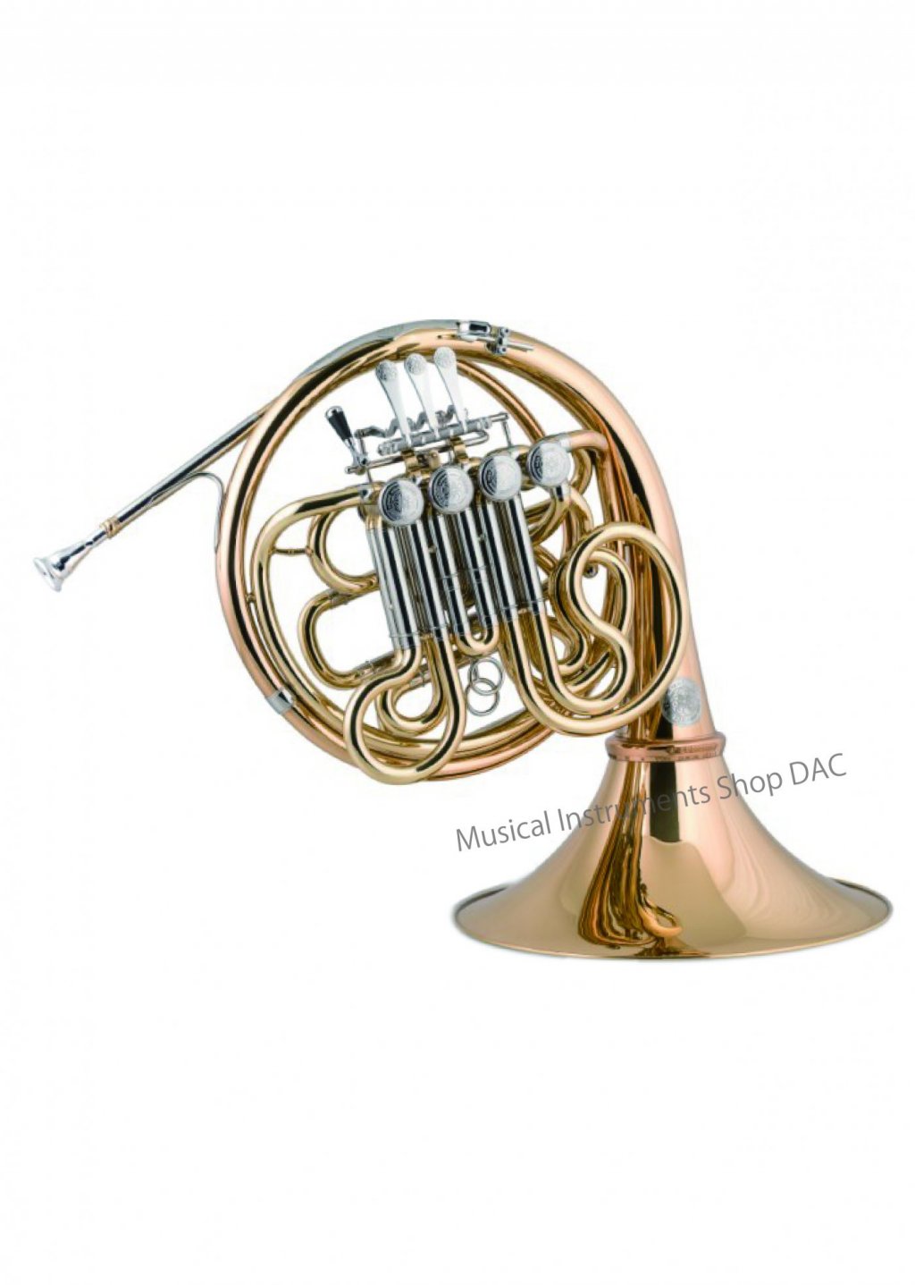 DH61 画像 1