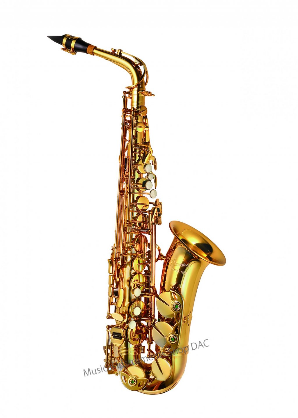 PMSA-185 画像 1