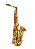 PMSA-185