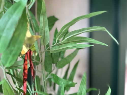 7月7日は “七夕” です!!