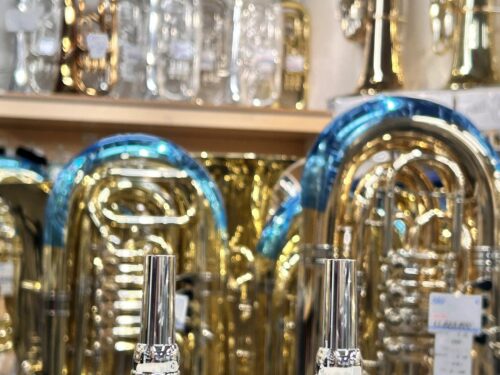 ウィリーズマウスピース入荷